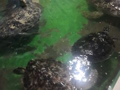 -常州海昌海洋探索馆