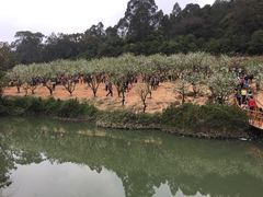 -南国桃园旅游度假区