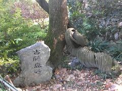 android_upload_pic-绮园景区