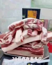 -香薇妮丝·定制减肥·身材管理
