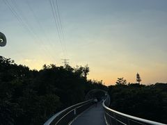 -仙岳公园