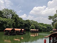 -侨美·唐荔园·40年地道粤菜