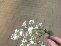 -星巴克(烟台大悦城店)