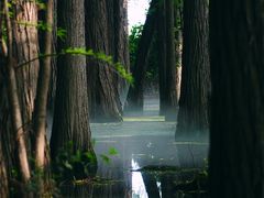 -东湖落雁景区