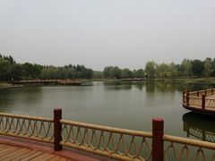 -东郊湿地公园