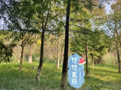 -金海湾滨江公园