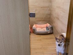 -Double Rui宠物酒店