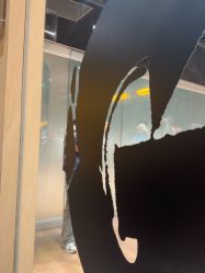 -G-STEPS舞蹈工作室