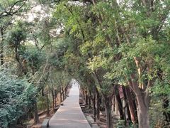 -红花山公园