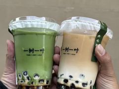 -一树一叶·福建茶档(石鼓路店)