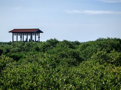 -北海金海湾红树林生态旅游区