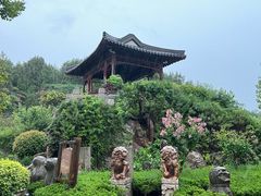 -徐州龟山景区