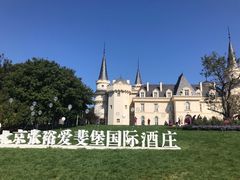 -北京张裕爱斐堡酒庄