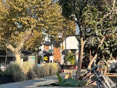 -麻雀咖啡SPARROW COFFEE(十全街店)