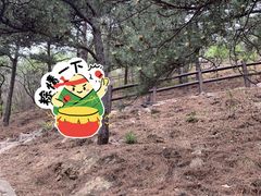-北京十三陵国家森林公园蟒山景区
