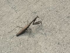 -上海虹桥迎宾馆