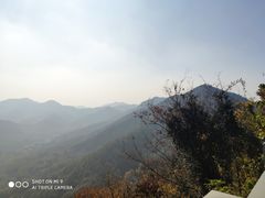 -翠亭酒家(山西南路店)