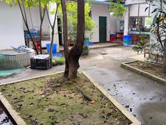 -花悦农庄 | 烧鸡·竹筒饭(沙迳高沙温泉香溪堡店)