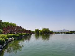 -石家庄市植物园