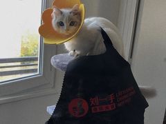 -重庆刘一手(巴黎一店)