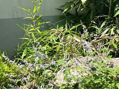 -白塘生态植物园