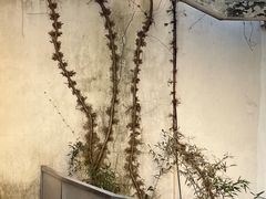 -梵几(东信·和创园店)