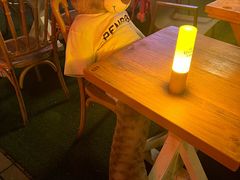 -Big Bamboo 大竹子体育主题餐厅(虹梅路店)