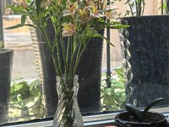 -屯屯面(海尔路店)