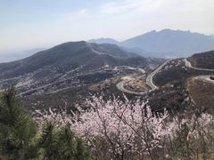 -定都阁