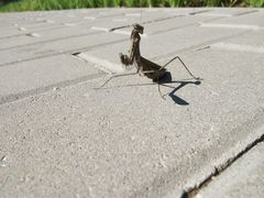 -永定河休闲森林公园