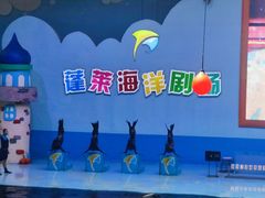 -蓬莱欧乐堡海洋极地世界