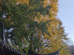 -郑和公园
