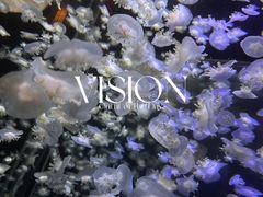 -太平洋海底世界