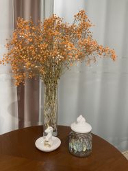 -广州安和泰医学月子会所