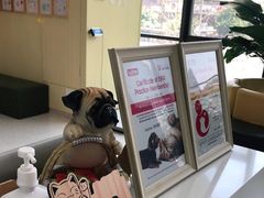 -谐和贝康宠物医院24小时·宠保定点(急重症转诊中心)