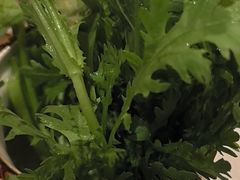 -牛人日志·鲜牛肉骨汤火锅(万科里瑧店)