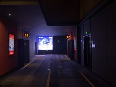 -万达影城(闵行颛桥万达广场杜比影院店)