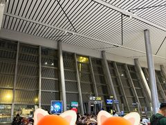 -贵阳龙洞堡国际机场-T2航站楼