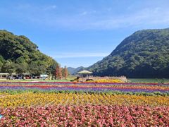 -广州市石门国家森林公园