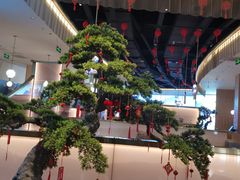 大堂-马家斑.鲜鱼火锅(松湖万科店)
