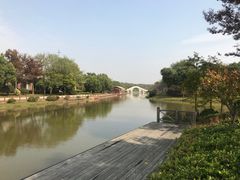 -上海海湾国家森林公园