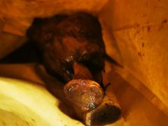 -王裕興肉莊(南禅寺店)