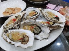 -蚝专家