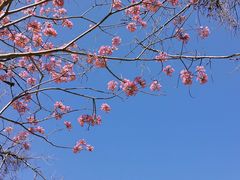 -西昌邛海湿地