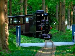 -黄海国家森林公园