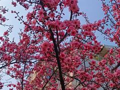 -幸福门