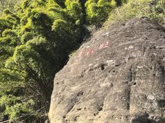 -九曲溪竹筏码头