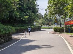 -火炉山森林公园