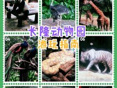 -广州长隆国际大马戏