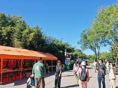 -燕郊植物园